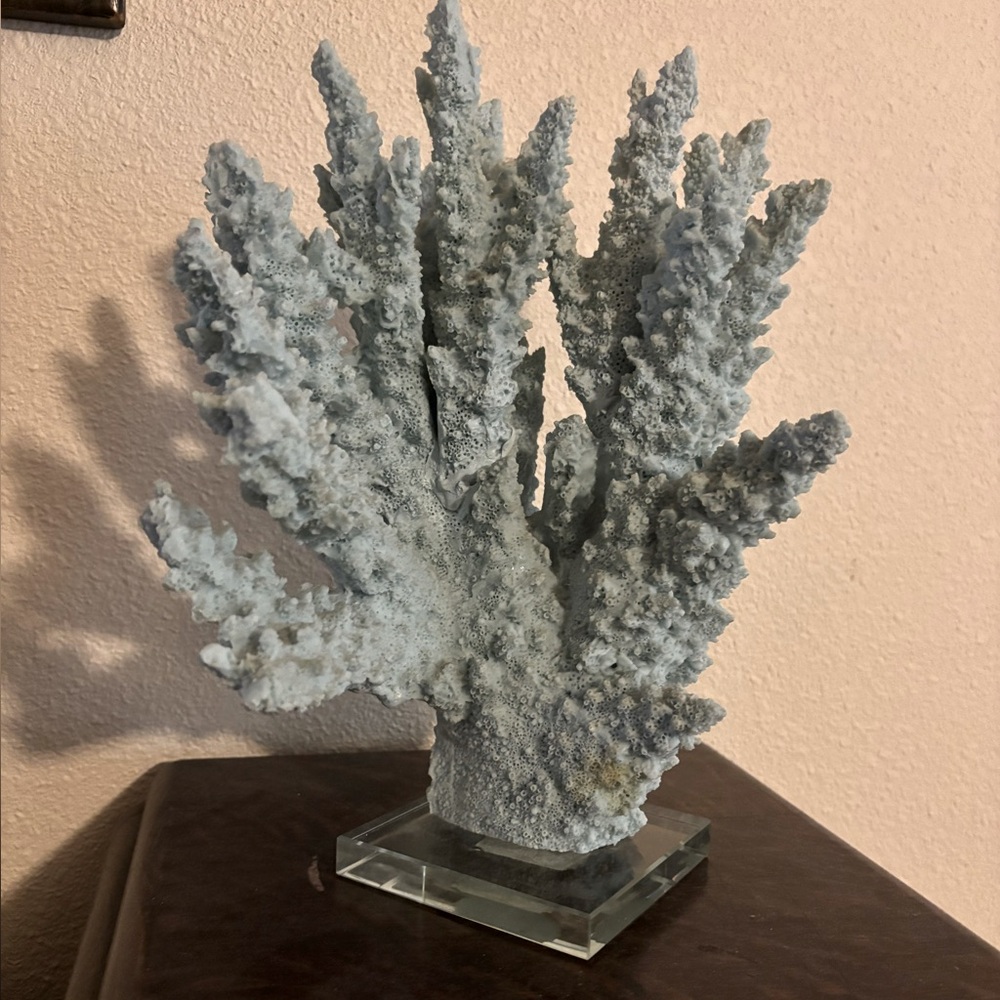 Elegant Gray Coral Accent Piece